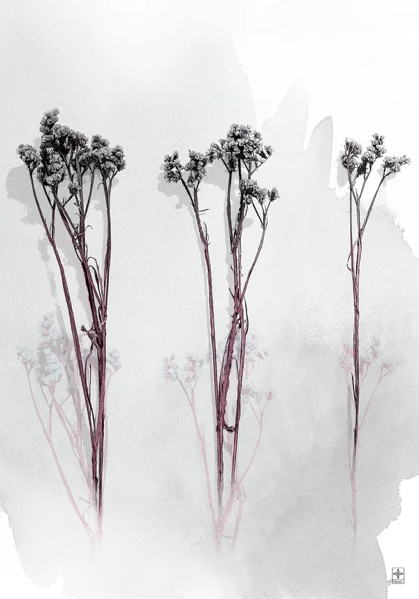 Zestaw plakatów - Kobieca natura