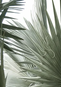 Zielona fantazja natury