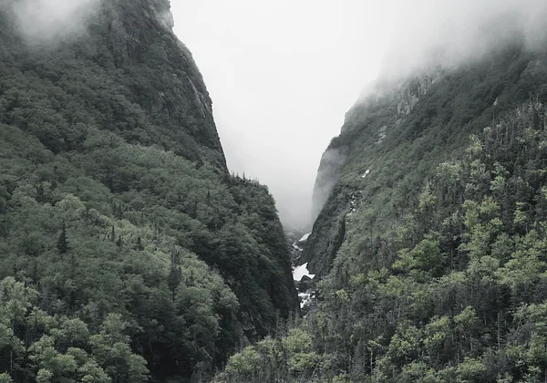 Mgliste góry zapomnienia