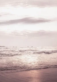 Złocisty zachód słońca