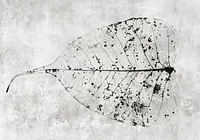 Historia pewnego liścia