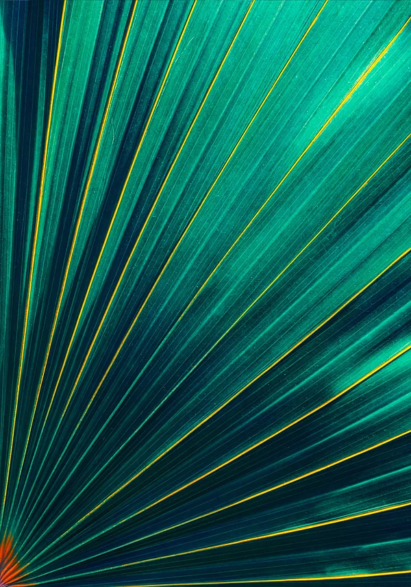 Zielony wachlarz natury