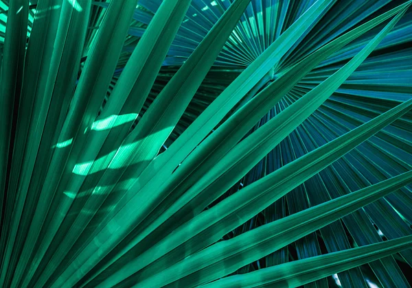 Dzikie krzewy w zieleni 