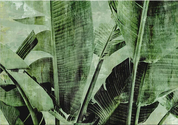 Dzika zieleń natury