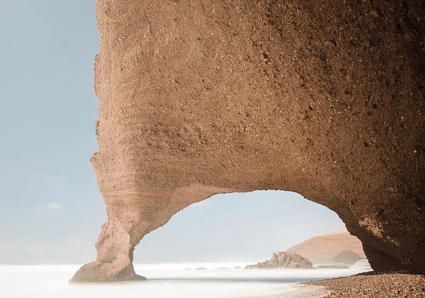 Magia natury w jednym ujęciu 