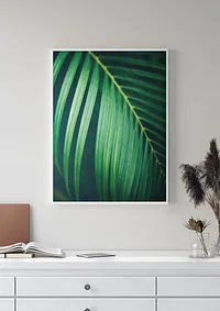 Soczysty kawałek zieleni