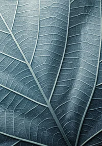 Turkusowa siła natury