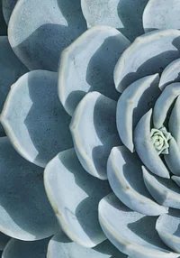 Oko w oko z turkusem