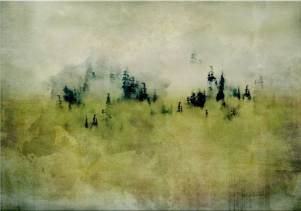 Spokój zielonego lasu