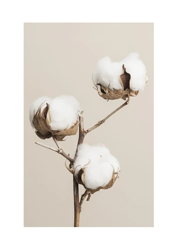 Delikatne chwili podrygi