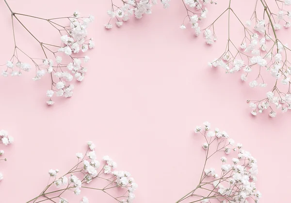 Drobna natura różu 