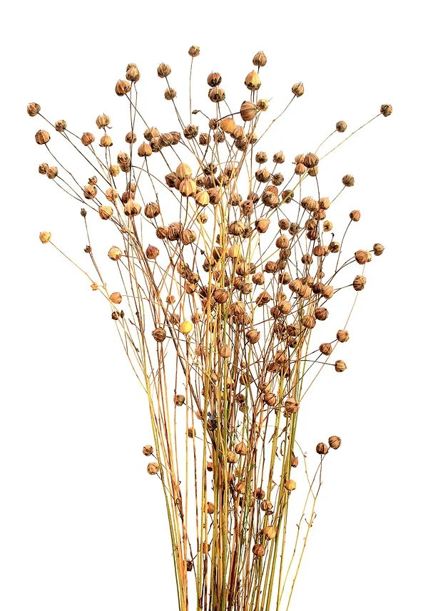 Polny bukiet kwiatów