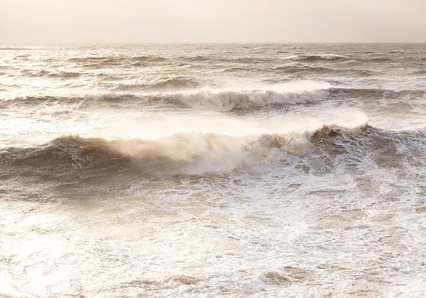 Morze beżowych odcieni