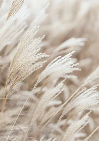 Smagane wiosennym wiatrem