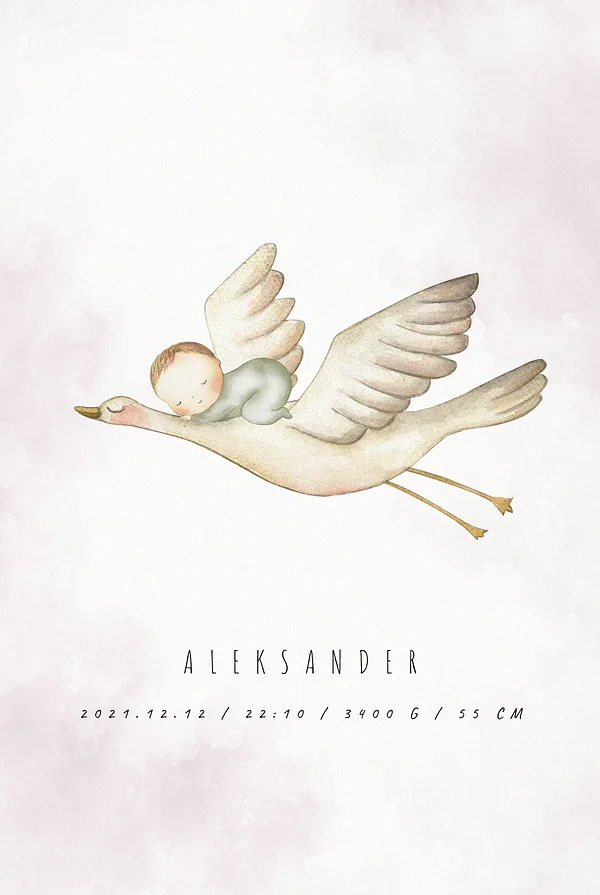 Metryczka - chłopczyk i bocian