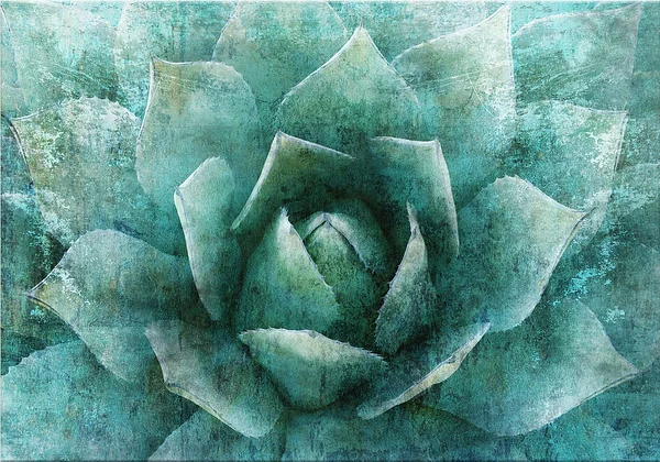 Modernistyczna zaskakując natura