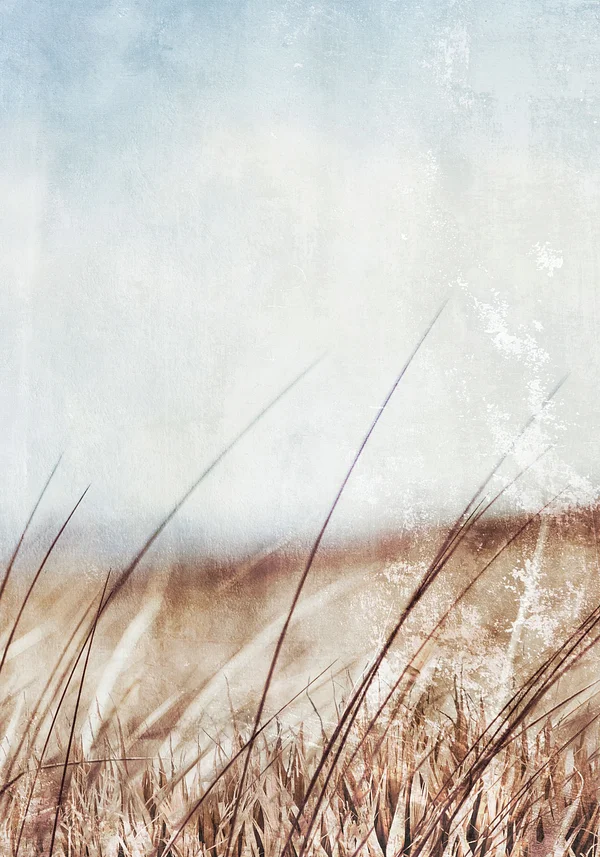 Słoneczne trawy - plakat z polnymi trawami w beżowych kolorach 